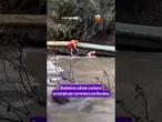Cachorro é resgatado após ficar preso sob ponte durante enchente