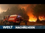 SÜDEUROPA IN FLAMMEN! Über 250.000 Menschen evakuiert – nationaler Notstand in Spanien! WELT STREAM