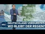 ENDE DER EISHEILIGEN IN DEUTSCHLAND: Kein Regen in Sicht! Kalte Sophie geht – dürres Wetter bleibt