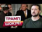 Перемовини ТРАМПА про УКРАЇНУ ВЖЕ ТРИВАЮТЬ?  Цю ВІЙНУ між ЄС та США НЕ ЗУПИНИТИ @holosameryky