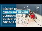 Número de óbitos por dengue em 2024 ultrapassa o de mortes por Covid-19 no Brasil