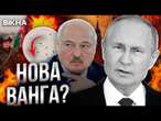 Путін ВЖЕ ДВИНУВ КОНІ, а на Україну НАПАДУТЬ БІЛОРУСИ? ТРЕШ-ПРОГНОЗИ від ЕКСТРАСЕНСІВ!@inforules-ua