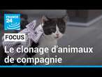 Le clonage d'animaux de compagnie en Chine, un business florissant • FRANCE 24