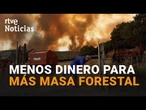 INCENDIOS: La INVERSIÓN en PREVENCIÓN cayó en 2022 con un 25% MENOS que en 2009 | RTVE