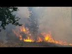 Incendie aux portes de Bordeaux : sept communes évacuées, un millier de militaires mobilisés