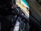 Cachorrinha encontra o cantinho perfeito para viajar de carro e derrete corações