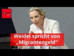 Als Weidel von „Migrantengeld“ spricht, wird klar, was die AfD nun vorhat