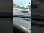 Un cane tenuto al guinzaglio dal finestrino dell'automobile è costretto a correre per Zapponeta