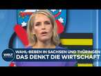 LANDTAGSWAHLEN: AfD-Beben in Sachsen und Thüringen! Das denkt die Wirtschaft