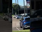 Customs and Border Protection helicopter lands in street to transport rattlesnake-bitten K-9