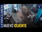 La inesperada sorpresa en el interior de un bar en Girona