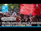 Argentine : marche nationale pour la diversité et contre la politique Milei • FRANCE 24