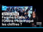 Famine à Gaza : l'ONU a-t-elle truqué les chiffres, comme l'affirme Israël ? • FRANCE 24