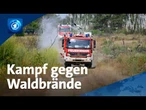 Hitze und Rekordtemperaturen: Kampf gegen Waldbrände – und die Munition im Boden