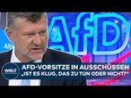 BUNDESTAG: Vorsitze für AfD? Heftige Debatte! Ausschüsse stellen Parteien vor Dilemma