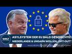 EUROPÄISCHE UNION: Erschütterung in der Asylpolitik! Ungarn und Niederlande wollen 