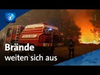 Frankreich und Spanien kämpfen gegen Waldbrände