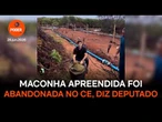 André Fernandes aciona PF e MPF para investigar maconha abandonada no Ceará