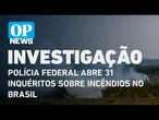 Polícia Federal abre 31 inquéritos sobre incêndios no Brasil | O POVO NEWS