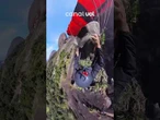 Bombeiro filma a própria queda em salto de base jump no Espírito Santo e quebra 10 ossos; vídeo