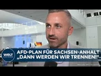 AFD: Sofort-Programm für Sachsen-Anhalt! Ulrich Siegmund nennt Details zu Plänen bei Wahlsieg
