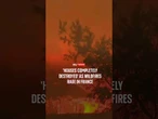 'Houses completely destroyed' as wildfires rage in France