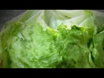 Iceberg lettuce recall grows to 27 states amid parasite concern