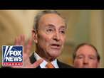 Schumer reportedly directed Dems to pressure Trump nominees: 'SHAMEFUL'