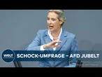 DAS DENKT DEUTSCHLAND: INSA-Umfrage – 68 Prozent erwarten AfD-Ministerpräsidenten im kommenden Jahr