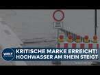 HOCHWASSER: Kritische Marke erreicht! Rhein-Pegelstand steigt weiter - Schifffahrt eingeschränkt