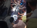 Rare whale shark caught off Gaza and butchered for food