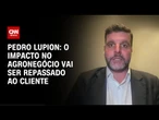 Impacto no agro será repassado ao cliente, diz presidente da Frente da Agropecuária | CNN PRIME TIME