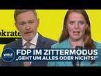 FDP-PARTEITAG: Zittern vor Bundestagswahl! Lindner will schwarz-grün verhindern