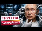 ОРГАНИ ВІД ТВАРИН та 3D-ПРИНТЕР: як Кремль намагається омолодити Путіна за 26 мільярдів доларів?