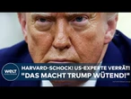HARVARD: Nach dem Trump-Schock! US-Experte verrät! "Das macht ihn wütend!"