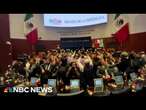 Watch: Protesters breach Mexico’s Senate, forcing judicial reform debate pause