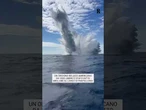 Un ordigno bellico americano è stato fatto brillare al largo di Pantelleria
