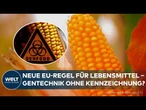 EU-BESCHLUSS: Das ändert sich 2028 – Lebensmittel aus Gentechnik ohne Kennzeichnung im Regal