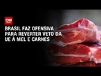 Brasil faz ofensiva para reverter veto da UE à carne brasileira | AGORA CNN