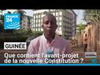 Nouvelle constitution en Guinée : lancement d'une campagne de vulgarisation • FRANCE 24