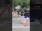 У Польщі вбили художника, який публічно ВИКИНУВ У СМІТНИК російський прапор