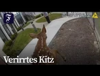 Sheriff verhindert tierischen Knasteinbruch