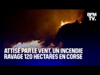 Corse: attisé par les vents violents, un incendie a ravagé au moins 120 hectares cette nuit