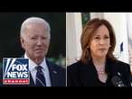 Biden feared to have 'sunk' Harris' campaign with 'basket of deplorables' moment