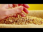 AGRO INFO | 25.09.2025 | TV Republika