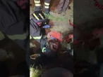 Un cane rimasto intrappolato in un tubo è stato salvato dai vigili del fuoco a Scandicci