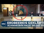 KALIFORNIEN: Pelziger Einbrecher – Schwarzbär bedient sich an Erdbeereis in Eisdiele!
