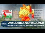 HITZEWELLE IN DEUTSCHLAND: Diese Bundesländer warnen jetzt vor akuter Waldbrandgefahr!