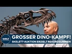 DINOSAURIER VERSTEIGERT: Jugendliches Dino-Skelett erzielt Rekordsumme in New York