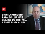 Especialista: Brasil vai insistir para excluir mais setores do tarifaço | LIVE CNN